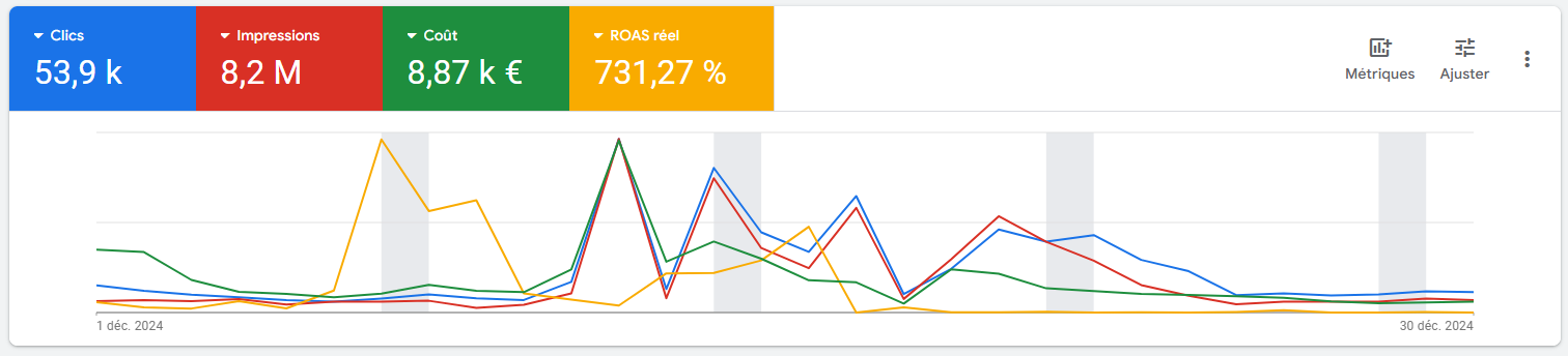 Résultats Google Ads — Société d'installation de portails
